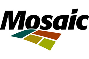 logo of mosaic
